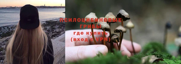 дживик Протвино