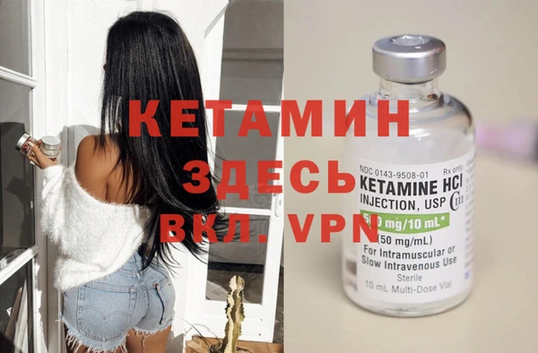 прущие грибы Покачи